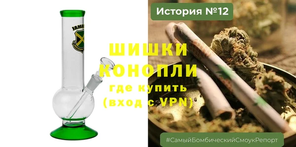 ГАЛЛЮЦИНОГЕННЫЕ ГРИБЫ Алексин