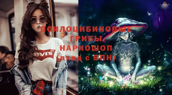 ГАЛЛЮЦИНОГЕННЫЕ ГРИБЫ Алексин