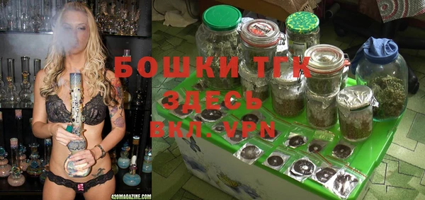 ГАЛЛЮЦИНОГЕННЫЕ ГРИБЫ Алексин