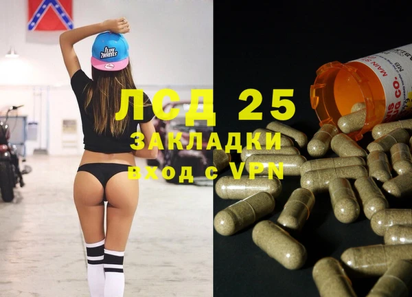ГАЛЛЮЦИНОГЕННЫЕ ГРИБЫ Алексин